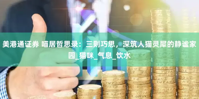 美港通证券 喵居哲思录：三则巧思，深筑人猫灵犀的静谧家园_猫咪_气息_饮水