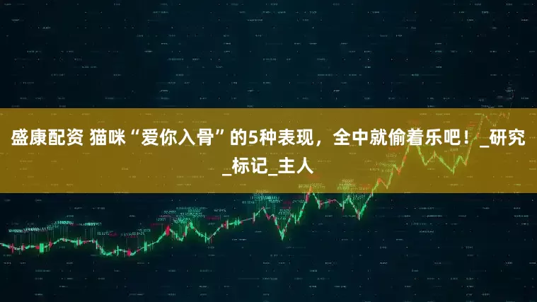 盛康配资 猫咪“爱你入骨”的5种表现，全中就偷着乐吧！_研究_标记_主人