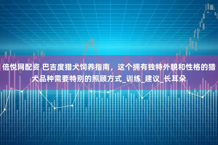 倍悦网配资 巴吉度猎犬饲养指南，这个拥有独特外貌和性格的猎犬品种需要特别的照顾方式_训练_建议_长耳朵